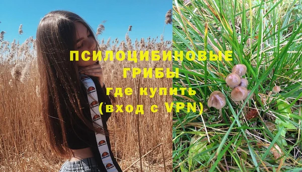 каннабис Алексин