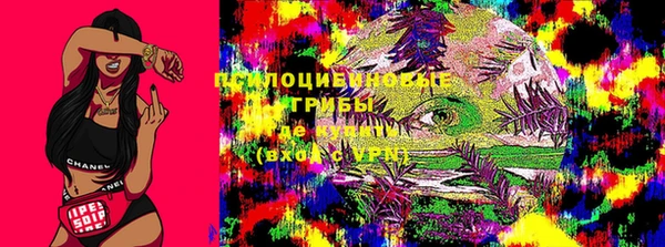 гидра Алексеевка
