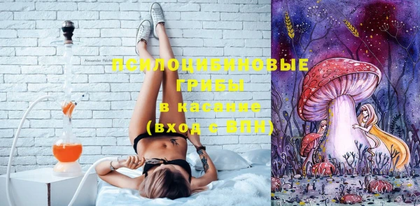 гидра Алексеевка