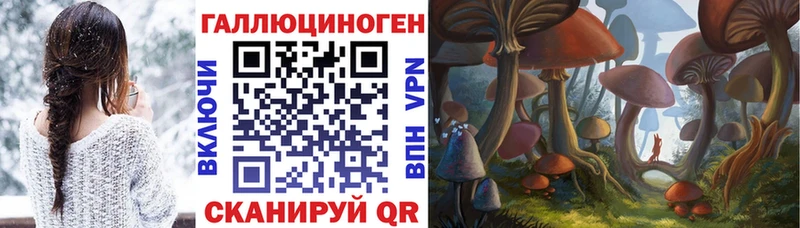 hydra ONION  Ардон  Псилоцибиновые грибы мухоморы  как найти закладки 